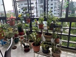 The Dairy Farm (D23), Condominium #591309991